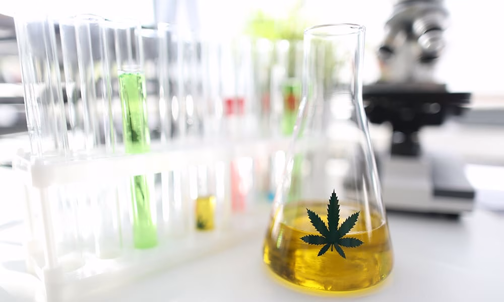 CBD research