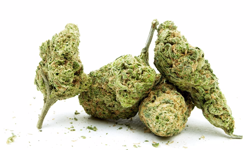 dank legal bud