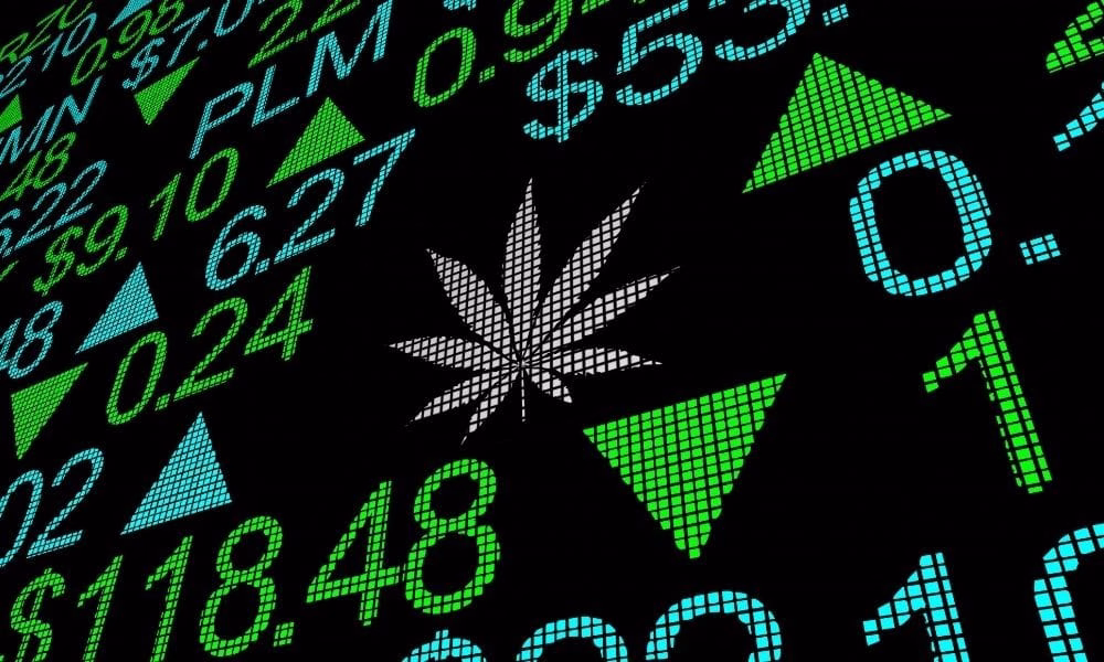 cannabis industry news