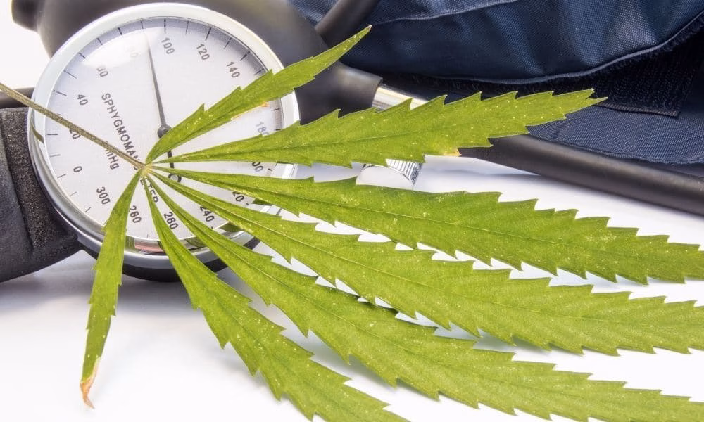 indica or sativa for high blood pressure