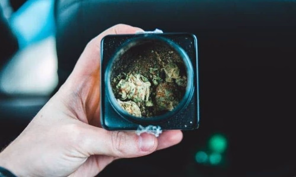 THC CBD CBN