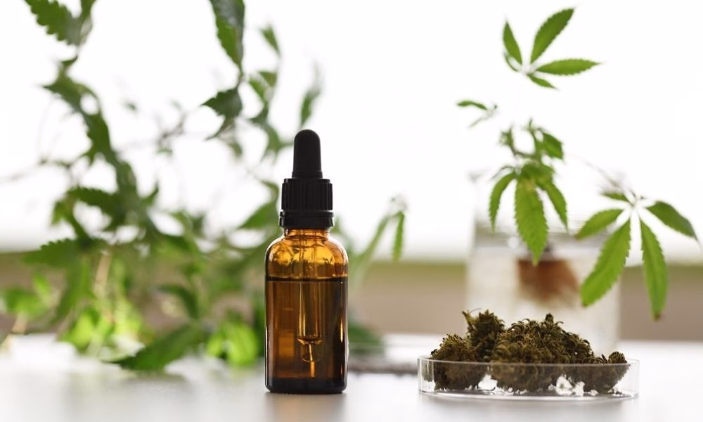 effects of cbd