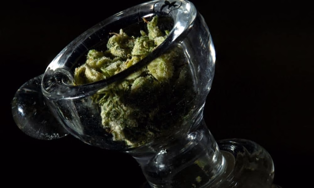 sativa vs indica
