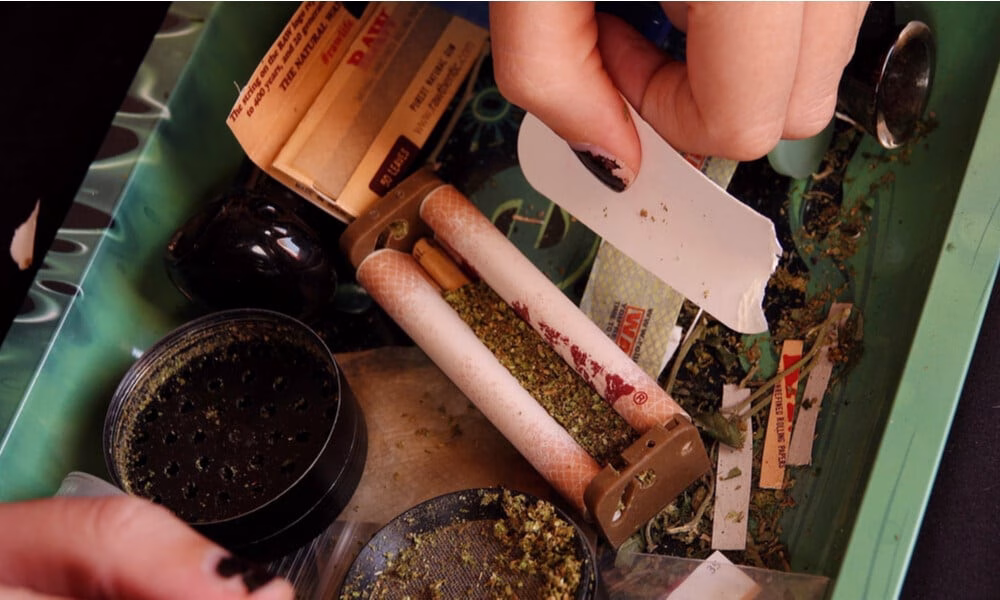 Person preparing cannabis joints using rolling papers and a grinder on a tray